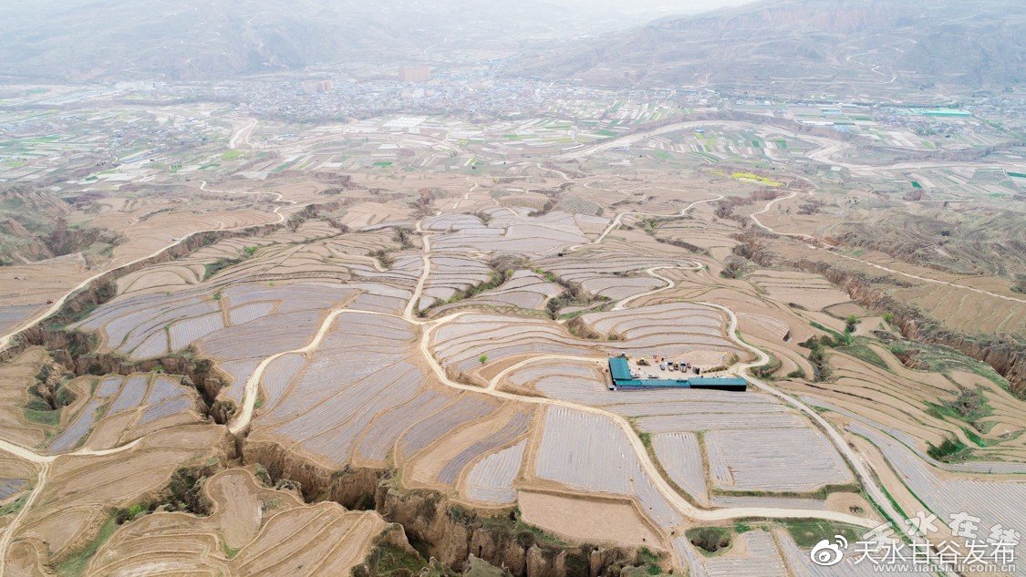 快手快手赞平台：分享点赞秘籍提升你的社交影响_ks一元1000个赞秒到软件